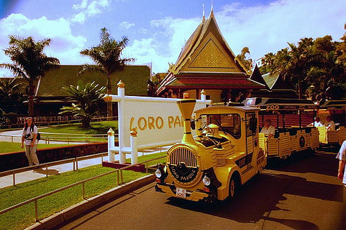 LoroParque Zoo
