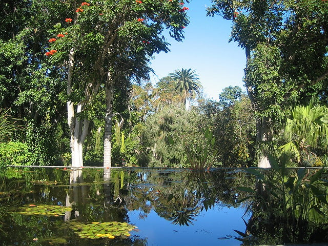 Botanická záhrada vPuerto de la Cruz