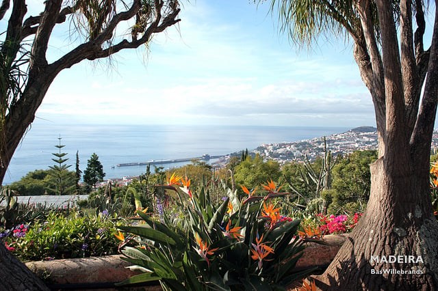 Pohľad na hlavné mesto Funchal