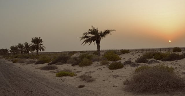 Arabská púšť