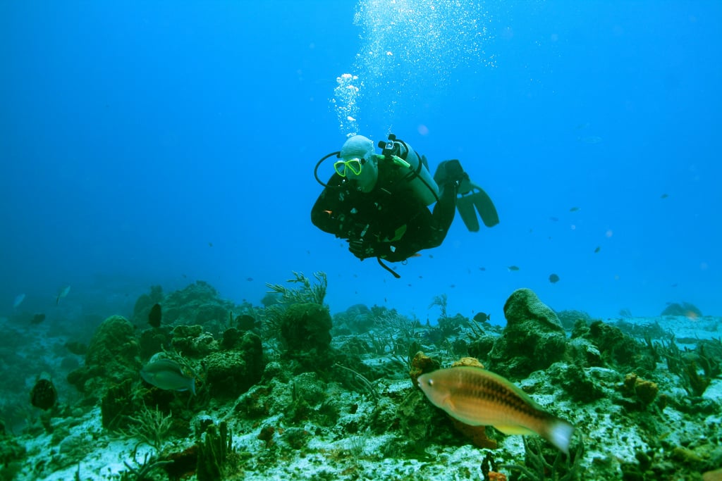 Vody pri ostrove Cozumel lákajú milovníkov potápania