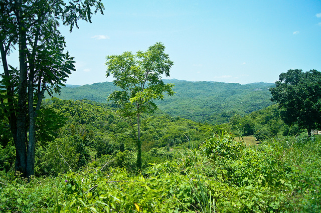 Ak ste milovníkom hôr a kopcov, aj na Jamajke si prídete na svoje