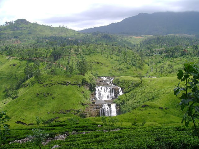 oblasť Nuwara Eliya má úplne inú klímu, ideálnu pre čajové plantáže