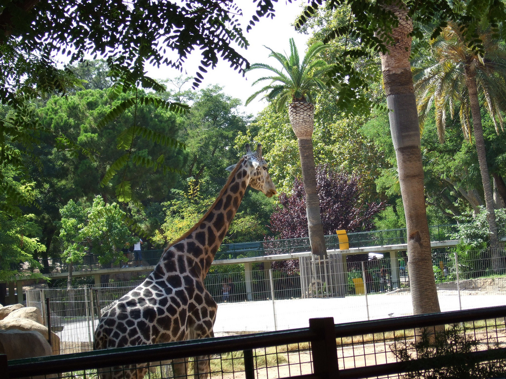 Zoologická záhrada v Barcelone