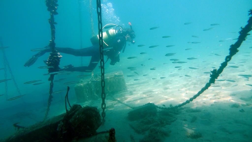 Potápanie v Crikvenici a jej okolí