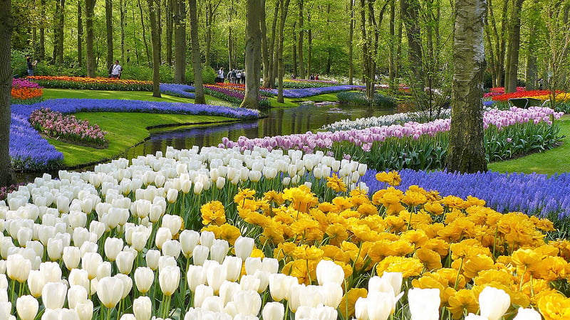 Kvetinová záhrada Keukenhof v Haarleme