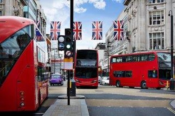 Zedwell Piccadilly