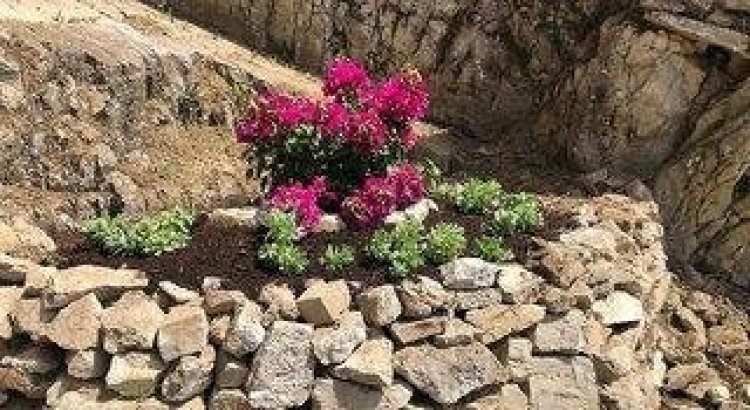 B&B Buona Stella resort