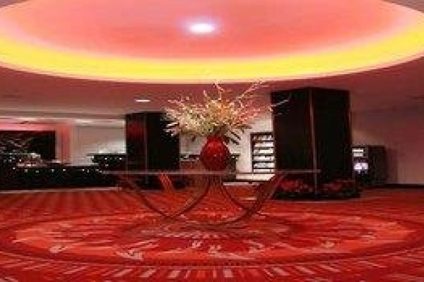 The Dragon Hotel