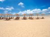 Melia Tortuga Beach Resort & Spa - Pláž
