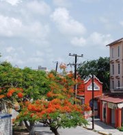 Hotel Tankah