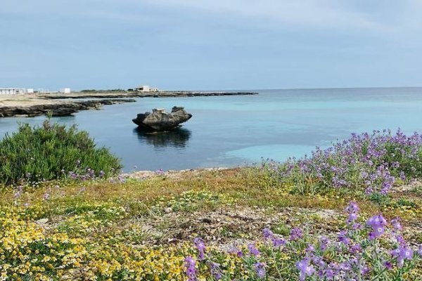 Domus Maris Boutique Hotel