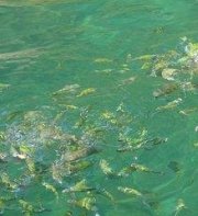 Mook Lamai Resort & Spa