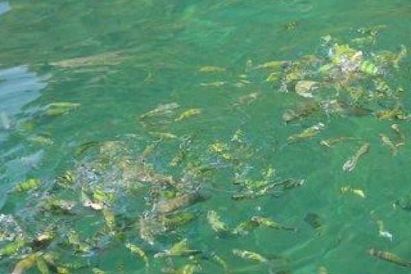 Mook Lamai Resort & Spa
