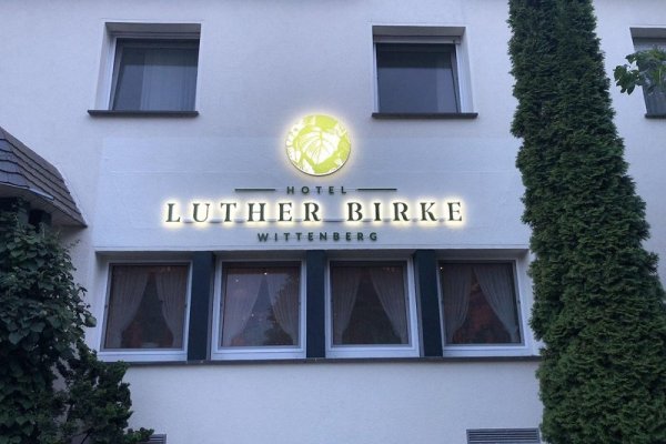 Luther Birke Wittenberg