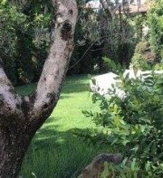 Dormiveglia B&B