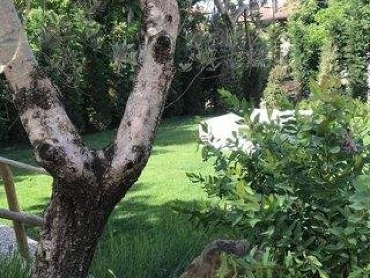 Dormiveglia B&B