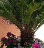 Locanda Degli Scrittori