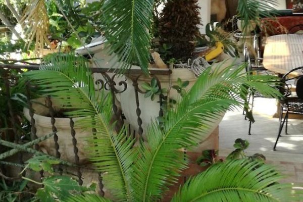 B&B The Garden