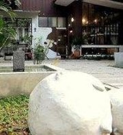 Chiang Mai D Hostel