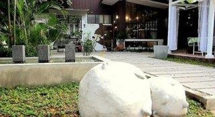 Chiang Mai D Hostel