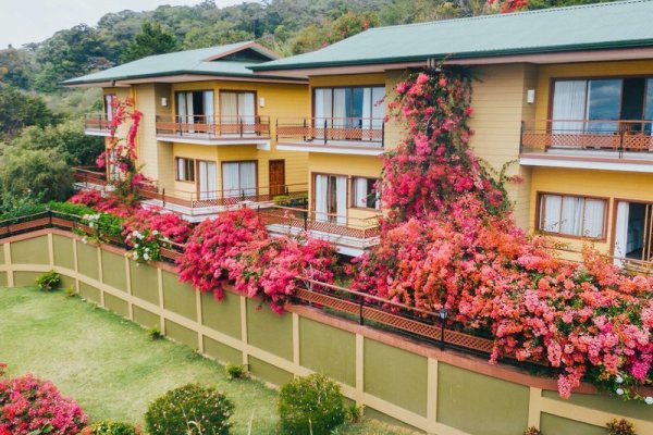 Ficus Sunset Suites