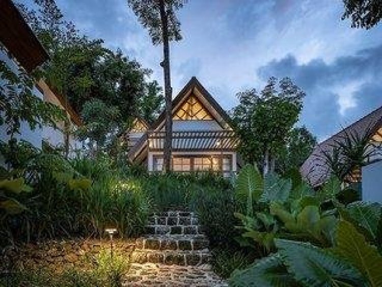 Deep Roots Dive & Yoga Resort