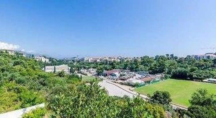 Apartments Pavle