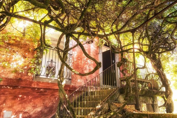 Quinta Do Ameal - Wine & Tourism Terroir