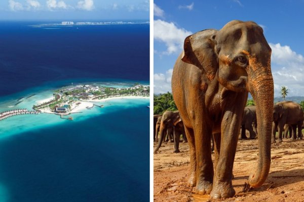 DELUXE Srí Lanka a Maldivy: Skvosty Indického oceánu