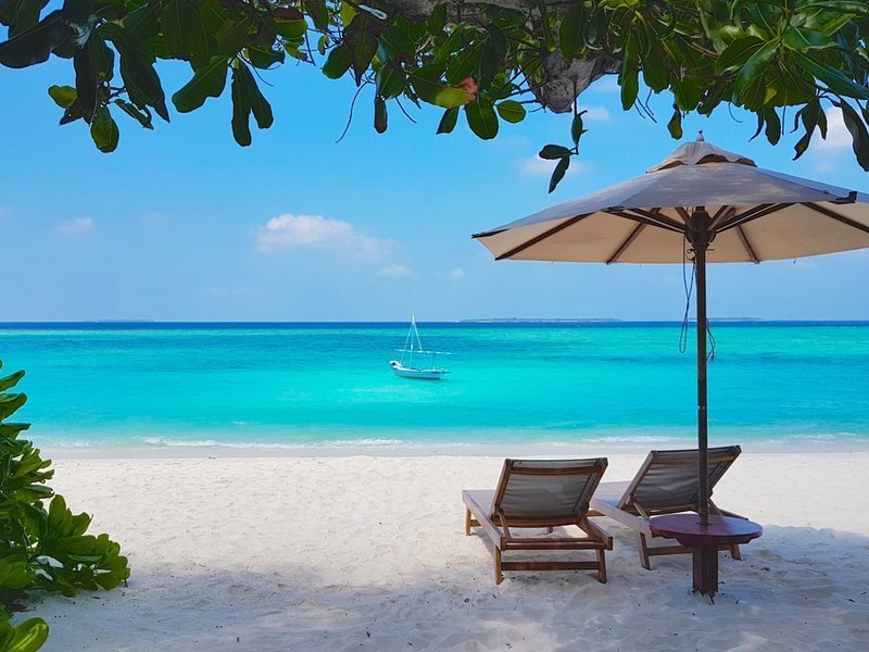 The Barefoot Eco Hotel