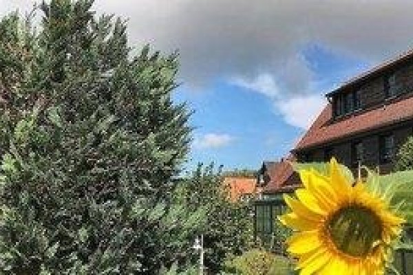 Hotelpension Seeadler