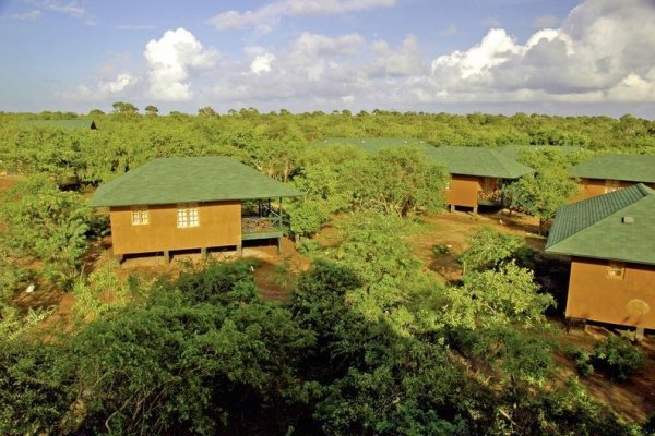 Cinnamon Wild Yala