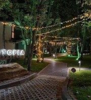 Utopia Forest