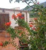 Villa Delle Palme Delfina