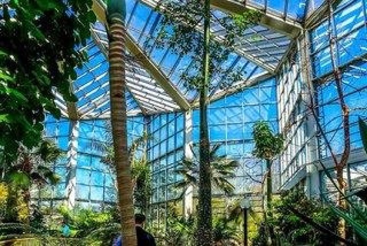 Soaltee Hotel by Trip Inn Frankfurt Messe