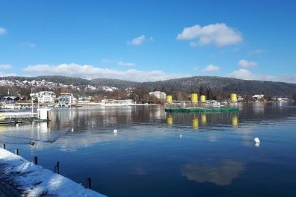 Wörthersee