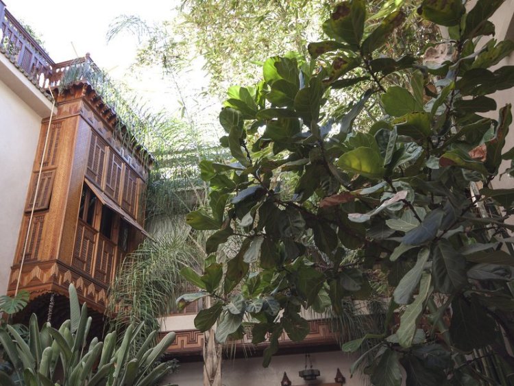 Riad Flam