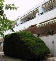 Felix Apartments by Rentalmar