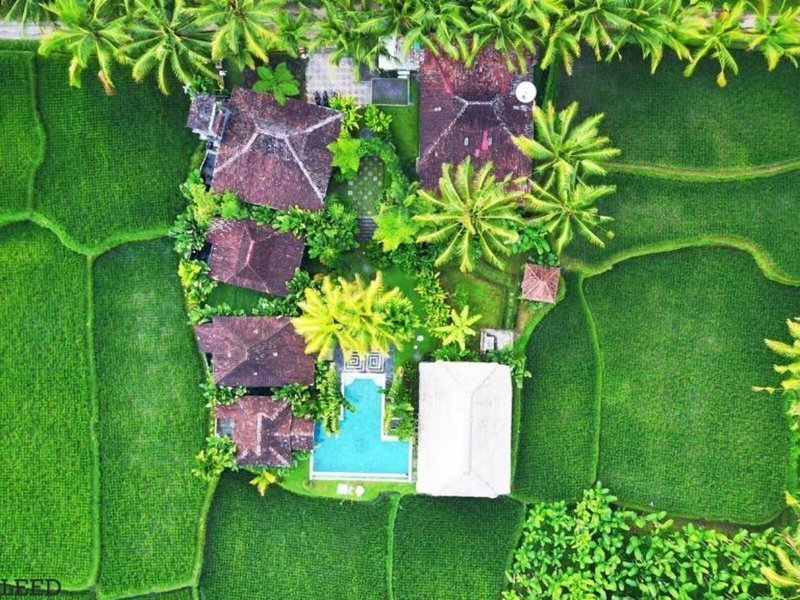 Hati Padi Cottages