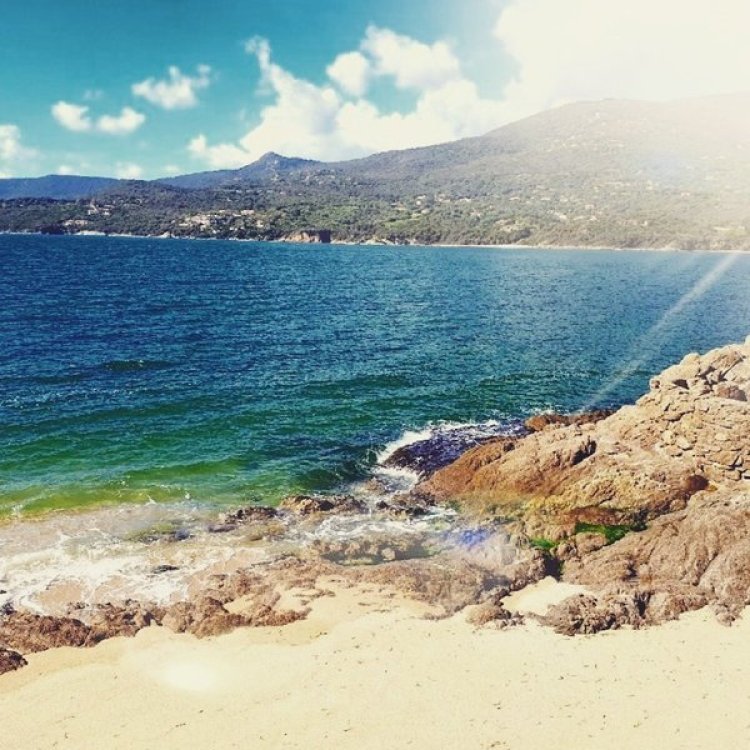Roc e Mare