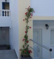 Karidis Hotel
