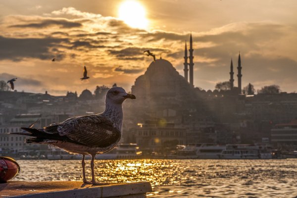 Istanbul: Burckin Hotel 4* z Viedne