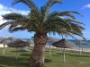 Vik Gran Hotel Costa Del Sol - Pláž