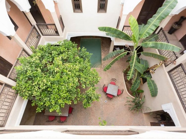 Riad l´Oiseau Du Paradis