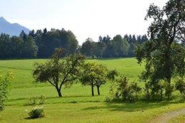 Fischergut
