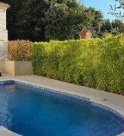 Boutique Hotel Oasi