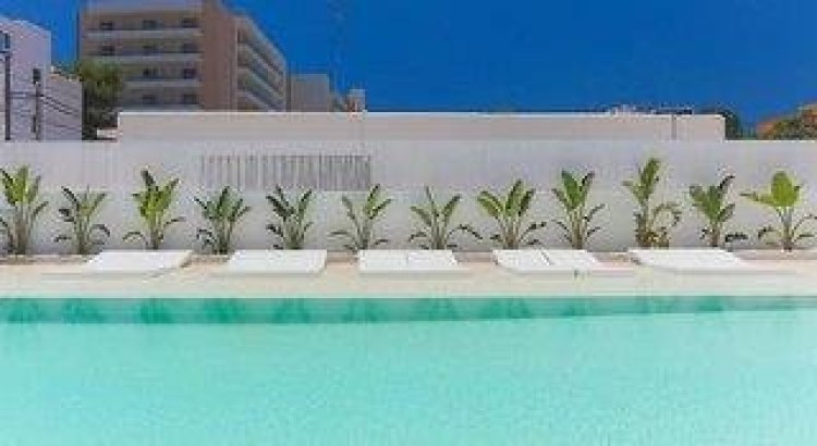 Sunrise Suites