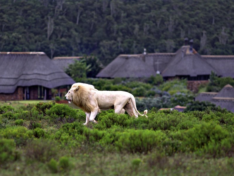 Pumba Private Game Reserve