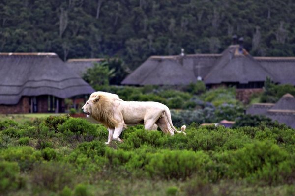 Pumba Private Game Reserve